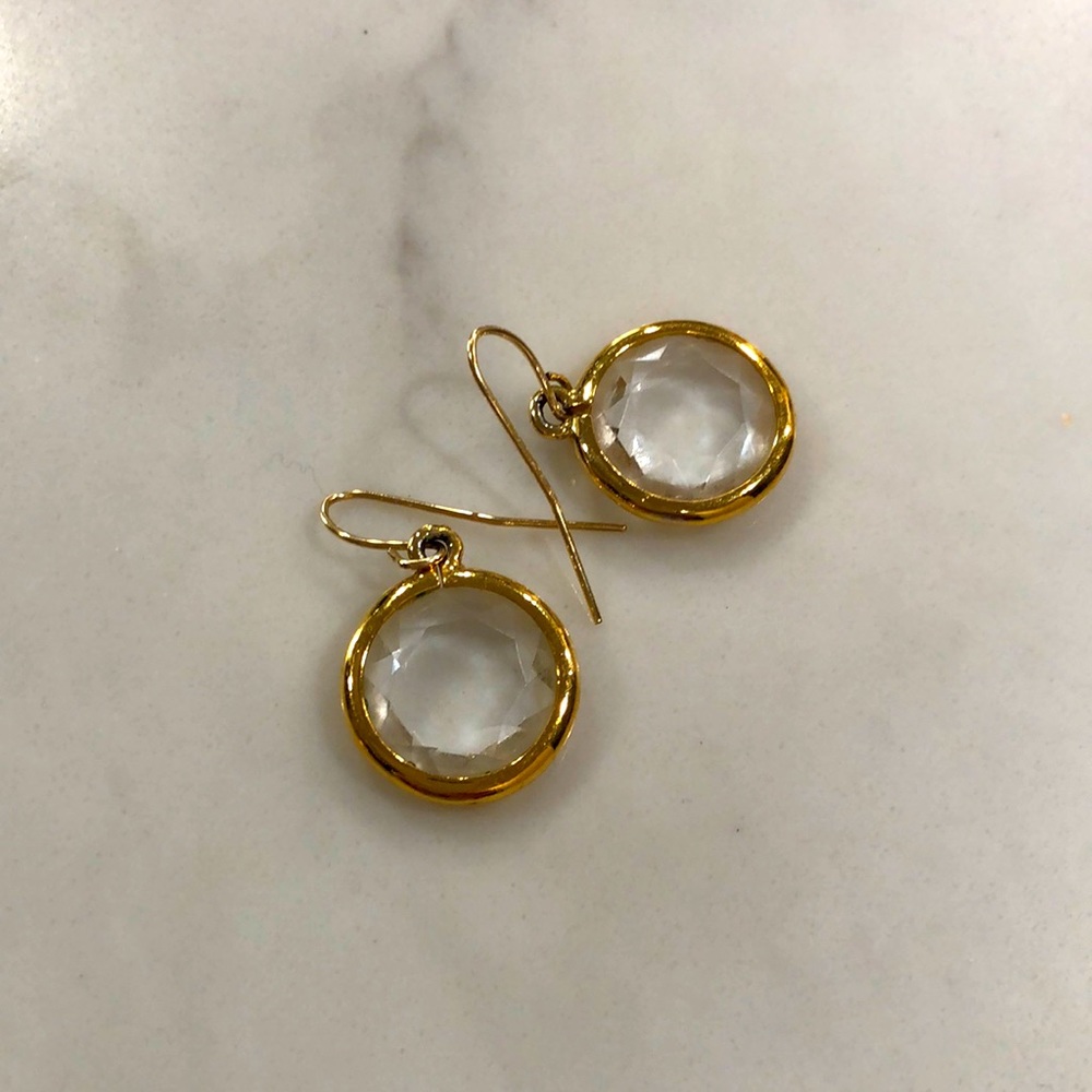 Adorable gold trimmed earrings